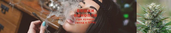 амф Белокуриха