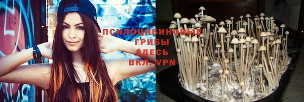 амф Белокуриха