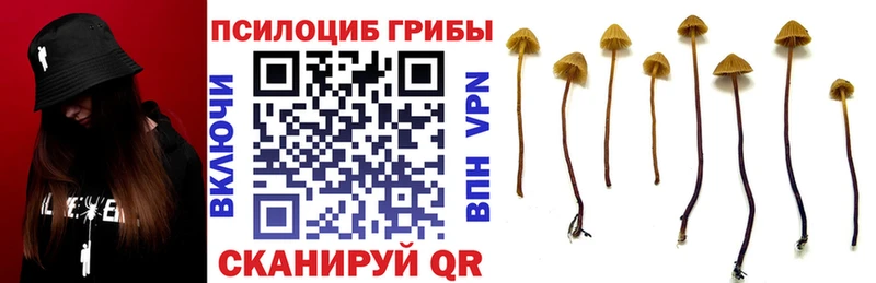 Галлюциногенные грибы прущие грибы  Новосибирск 